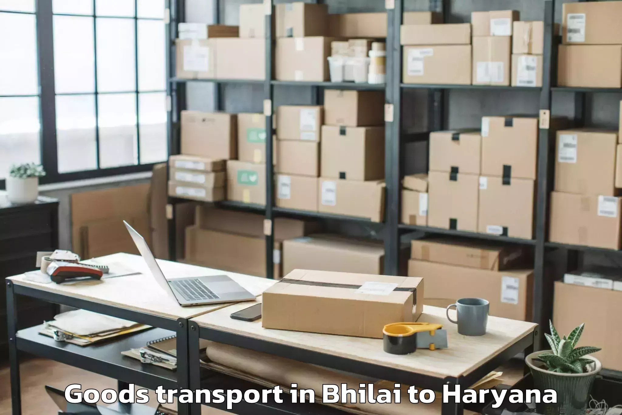 Trusted Bhilai to Ambience Mall Gurgaon Goods Transport